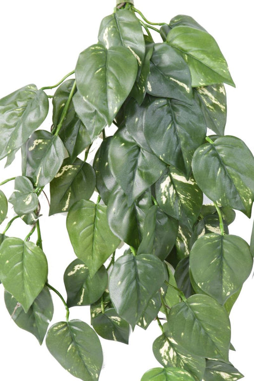 Pothos Artificiale Resistente Ai Raggi UV Caduta 75 Cm