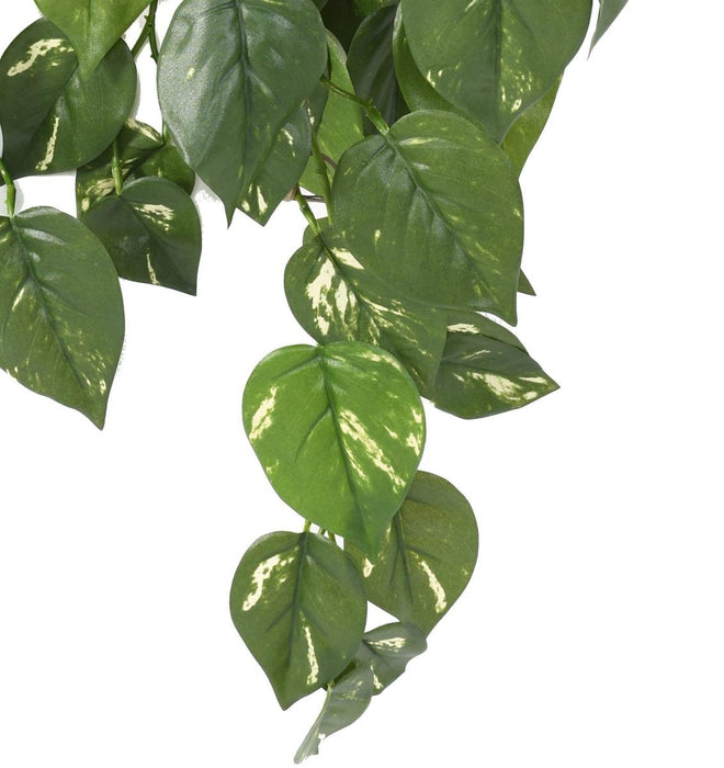 Pothos Artificiale Resistente Ai Raggi UV Caduta 75 Cm