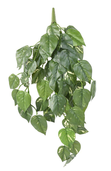 Pothos Artificiale Resistente Ai Raggi UV Caduta 75 Cm