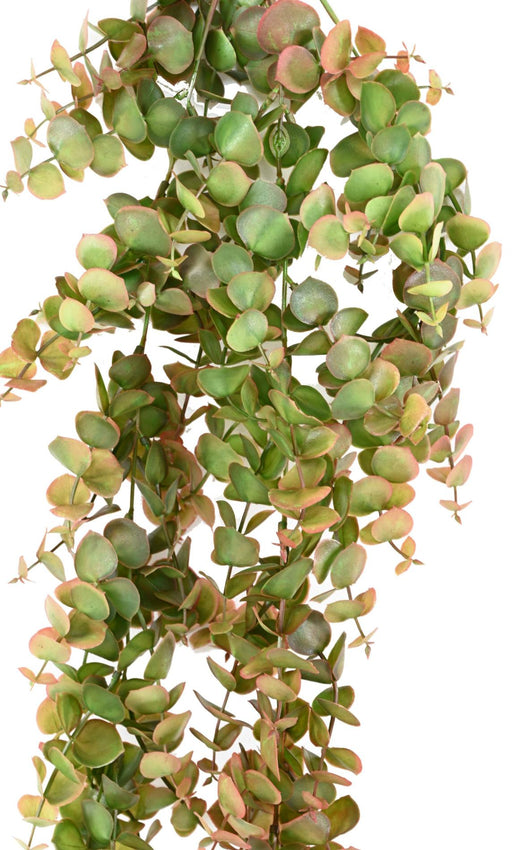 Pianta Da Interno Cadente Di Eucalipto Artificiale Da 81 Cm