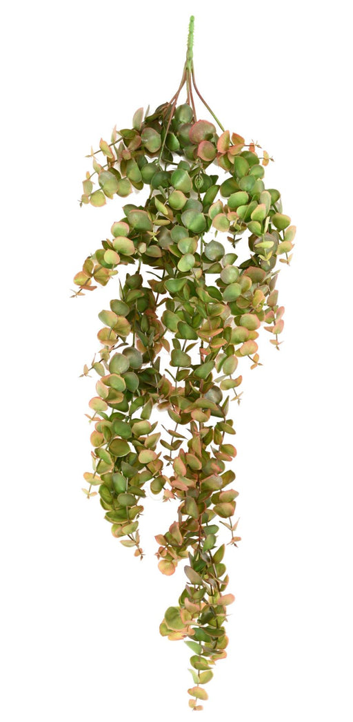 Pianta Da Interno Cadente Di Eucalipto Artificiale Da 81 Cm