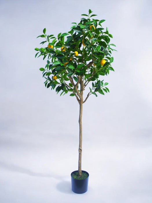 Albero Di Limone - Albero Artificiale