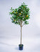 Albero Di Limone - Albero Artificiale