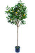 Albero Di Limone - Albero Artificiale