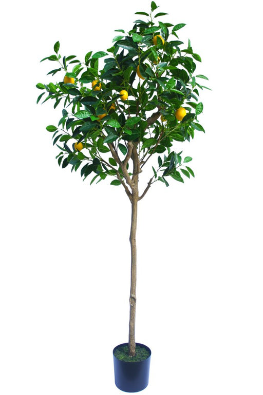 Albero Di Limone - Albero Artificiale