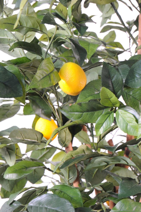 Albero Di Limone Artificiale 180Cm Con Frutti Per Interni