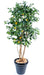 Albero Di Limone Artificiale 180Cm Con Frutti Per Interni