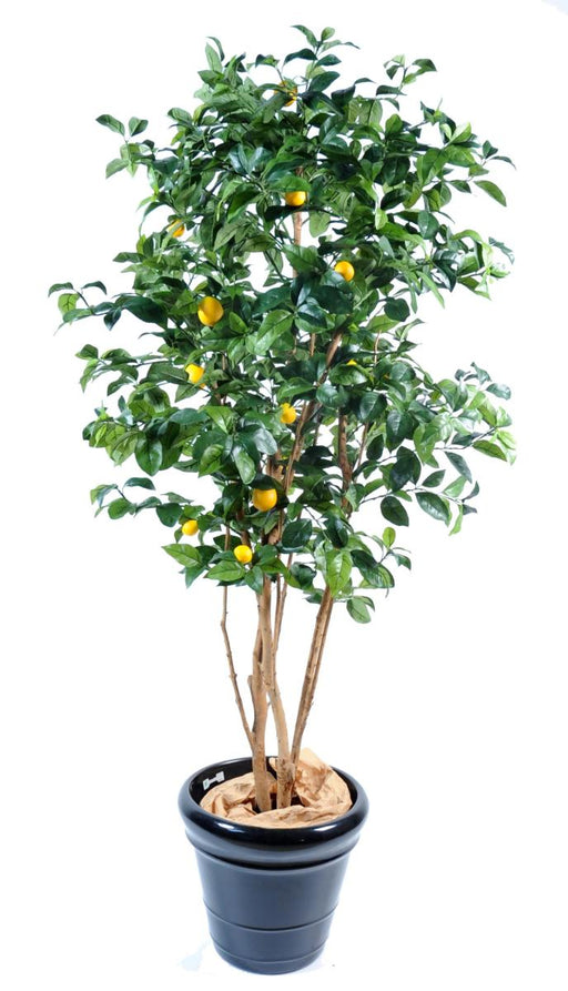 Albero Di Limone Artificiale 180Cm Con Frutti Per Interni