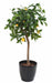 Albero Di Limone Artificiale In Vaso 110 Cm Con Limoni