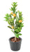 Albero Di Limone Artificiale In Vaso 90 Cm Pianta Da Interno