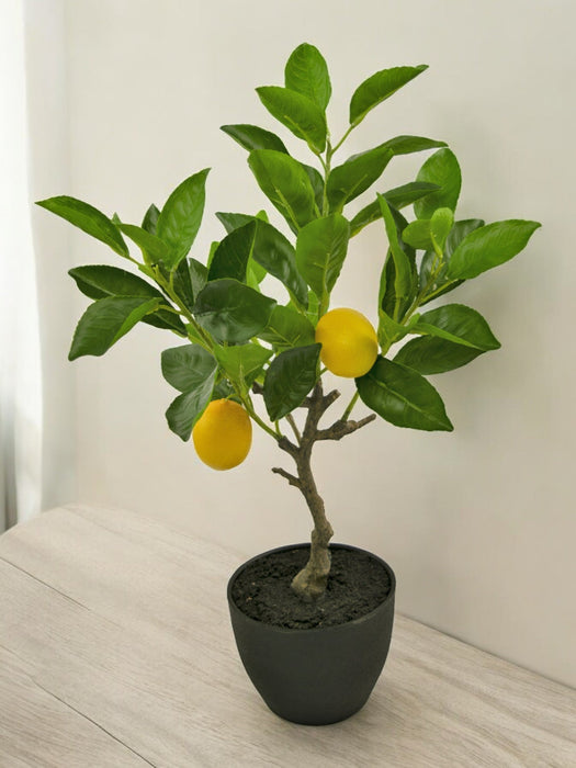 Albero Da Frutto Di Limone - Albero Artificiale