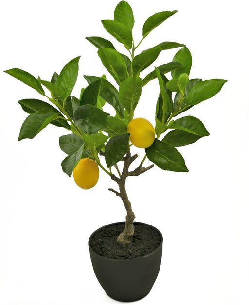 Albero Da Frutto Di Limone - Albero Artificiale