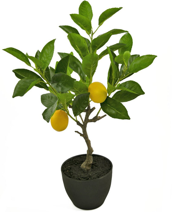 Albero Da Frutto Di Limone - Albero Artificiale