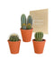 Confezione Regalo Di Cactus E Vasi Per Piante In Terracotta - Set Di 3 Piante, H18 Cm