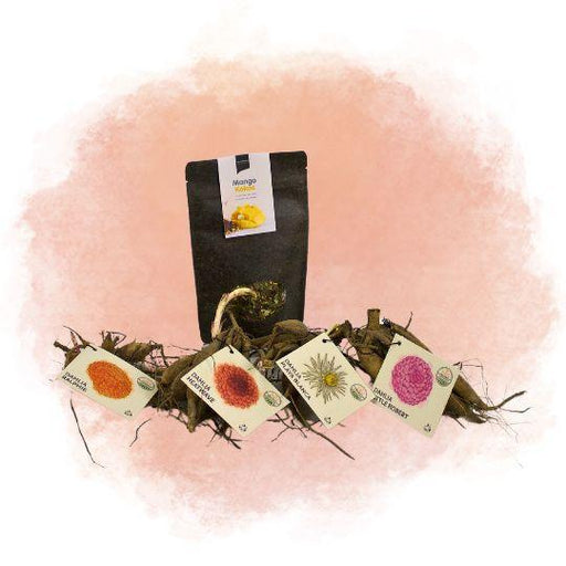 Scatola Di Bulbi Olandesi Medi, Set Di 4 Dalie + Tè Al Cocco E Mango In Omaggio