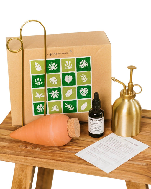 Cassetta Per Piante L'essenziale Per Le Piante Da Interno