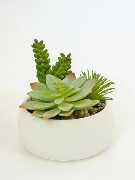 Composizione Succulenta Artificiale