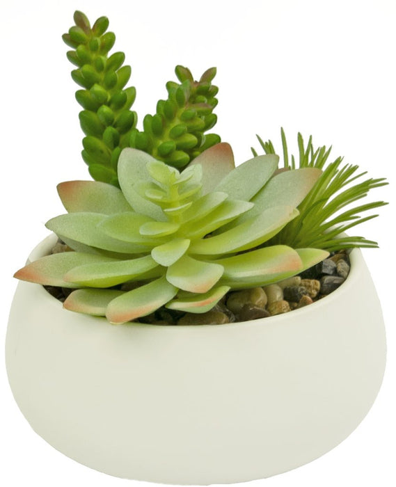 Composizione Succulenta Artificiale