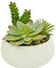 Composizione Succulenta Artificiale