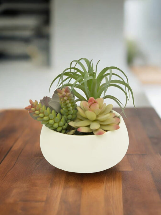 Composizione Di Piante Grasse Artificiali