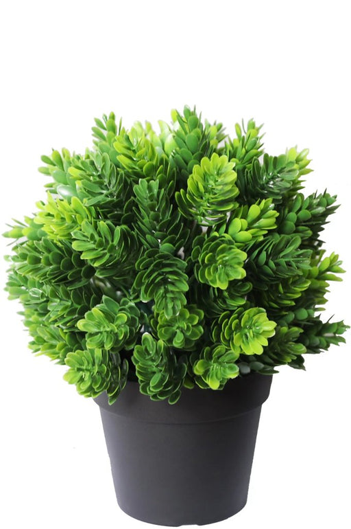 Conifera - Pianta Artificiale Da Esterno In Vaso