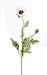 Papavero Artificiale Bianco 66Cm Fiore Di Campagna