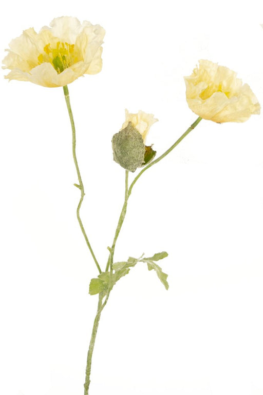 Papavero Artificiale Crema