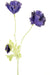 Papavero Artificiale Viola
