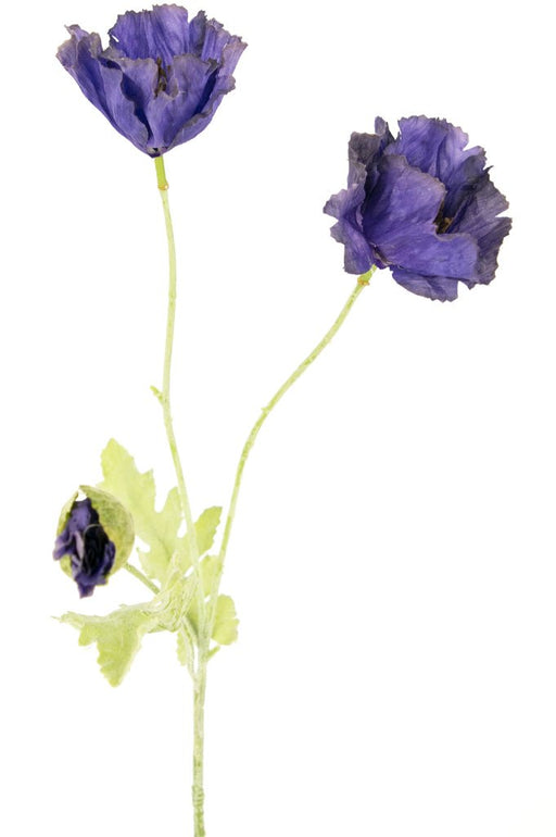 Papavero Artificiale Viola