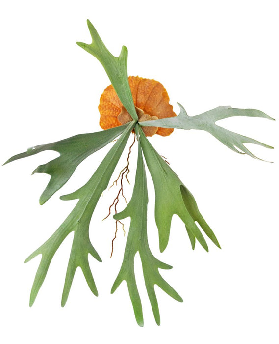 Corno Di Cervo - Fogliame Artificiale