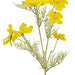 Cosmo Giallo - Ramo Di Fiori Artificiali