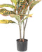 Croton Artificiale H.100Cm Per Decorazione Interni