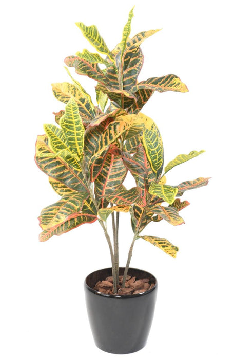 Croton Artificiale H.100Cm Per Decorazione Interni