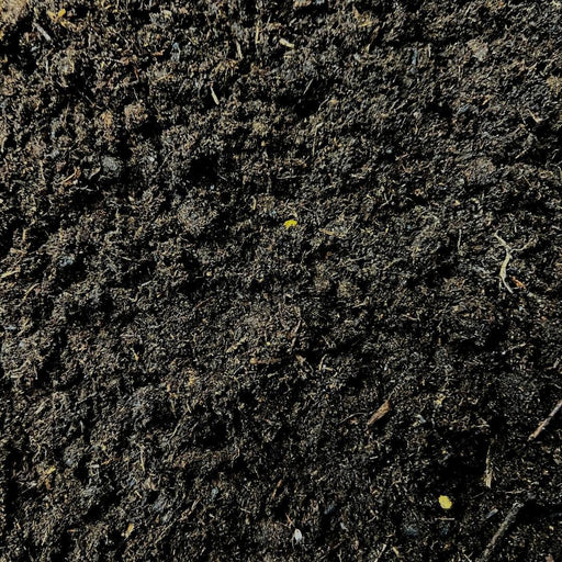 Culvita - Potgrond Specia Met 6 Month Nutritions 40 Litri - Terriccio Di Alta Qualità Per Piante Da Interno Ed Esterno - Con Nutrimenti Di Easycoat