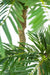 Cycas - Palma Artificiale