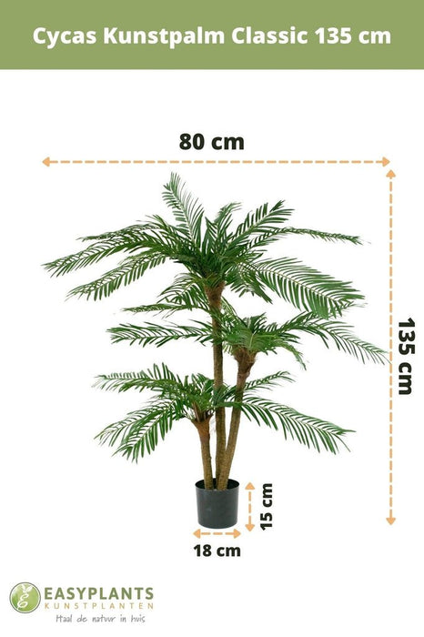 Cycas - Palma Artificiale