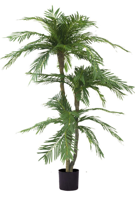 Cycas - Palma Artificiale