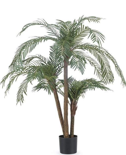 Cycas - Palma Artificiale