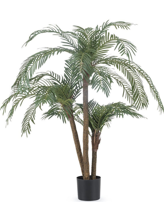Cycas - Palma Artificiale
