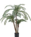 Cycas - Palma Artificiale