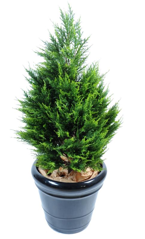 Cipresso Artificiale 105Cm Per Interni Ed Esterni