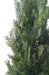Cipresso Artificiale 180Cm Per Interni Ed Esterni