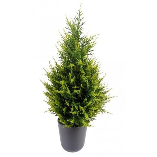 Cipresso Juniperus Artificiale 65Cm Per Interni Esterni