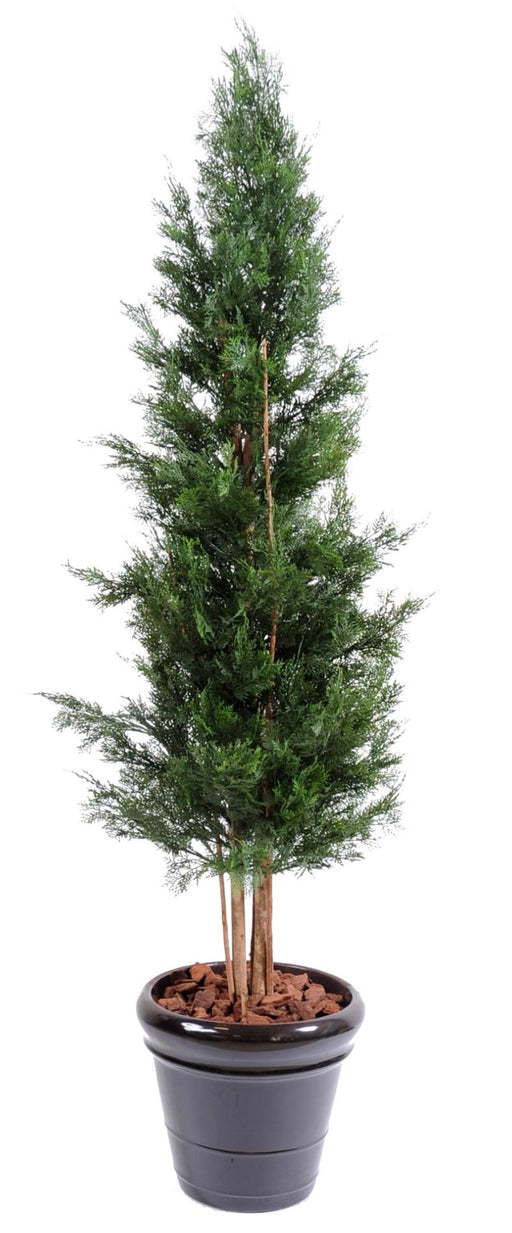 Lawson Cipresso Artificiale Resistente Ai Raggi UV 180Cm Verde