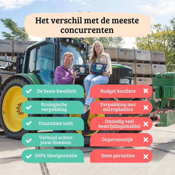 Bulbi Di Dalia - Mix Gerard'S Darlings, Natal E Blue Bell, 2 Pezzi