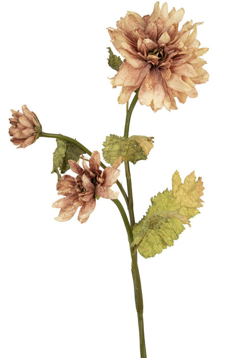 Dalia Artificiale Rosa Essiccata