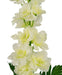 Delphinium Artificiale Bianco
