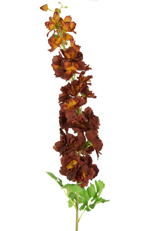Delphinium Artificiale Bordeaux