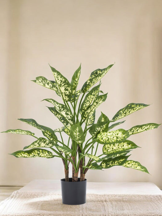 Dieffenbachia - Pianta Verde Artificiale
