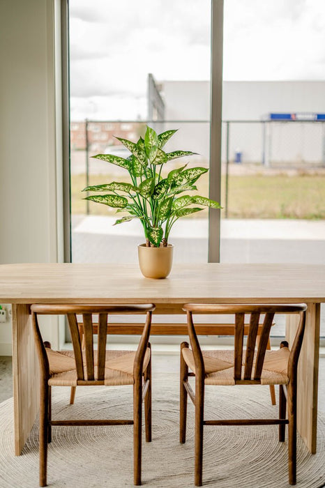 Dieffenbachia - Pianta Verde Artificiale